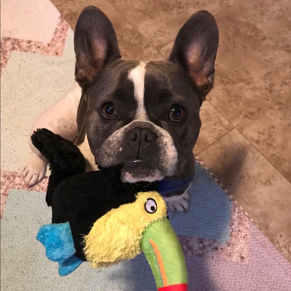 Meet your Posher, Jennifer - Picture 2 of 2